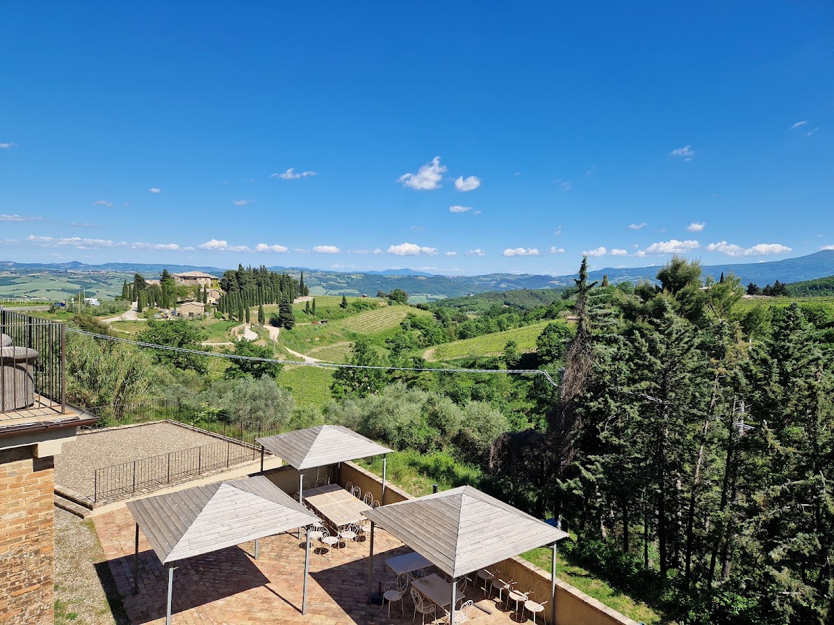 Enoteca Svanen Photos 2